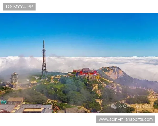 泰山换血或见成效:新举措助力品牌焕发新生